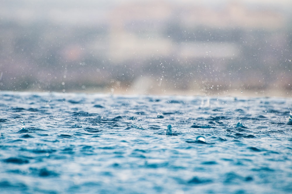 closeup photography of water drops on body of water