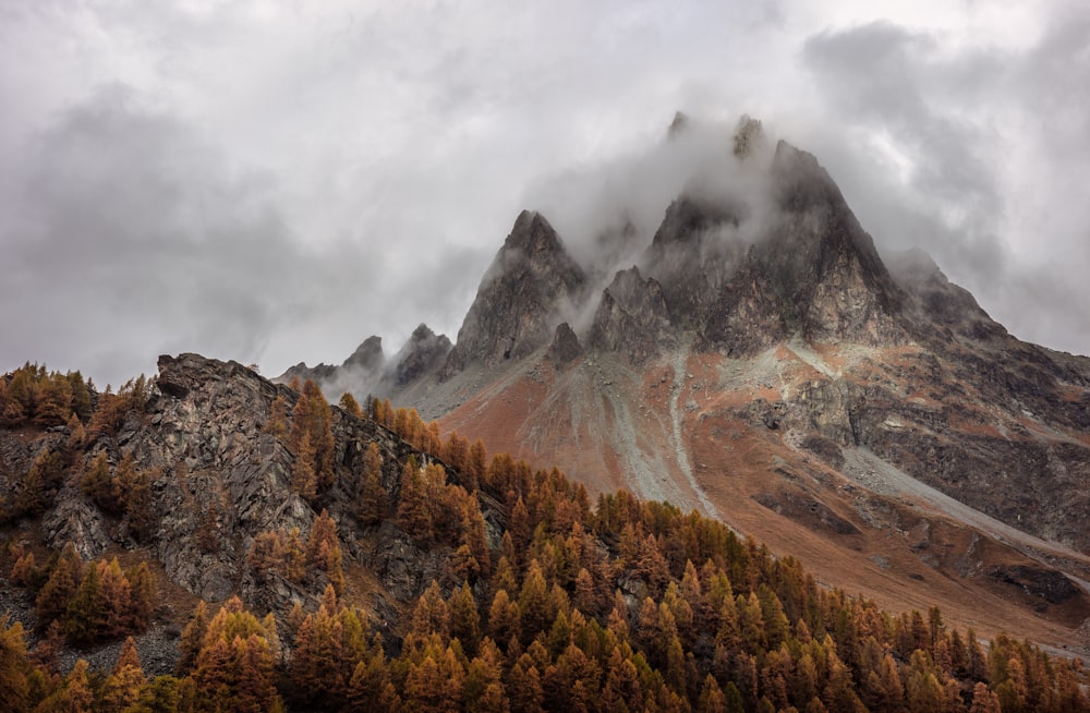 Berg in der Nähe von Bäumen unter bewölktem Himmel