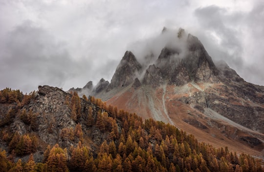 mountain near trees under cloudy sky in Grisons Switzerland