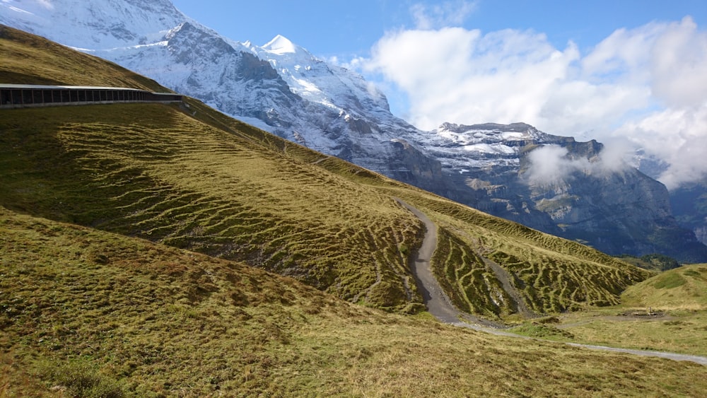 Photographie de vue aérienne de montagnes vertes et enneigées