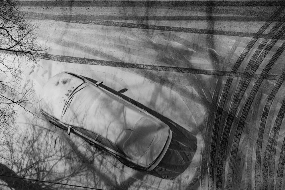 Photographie en niveaux de gris d’une voiture garée près d’un arbre