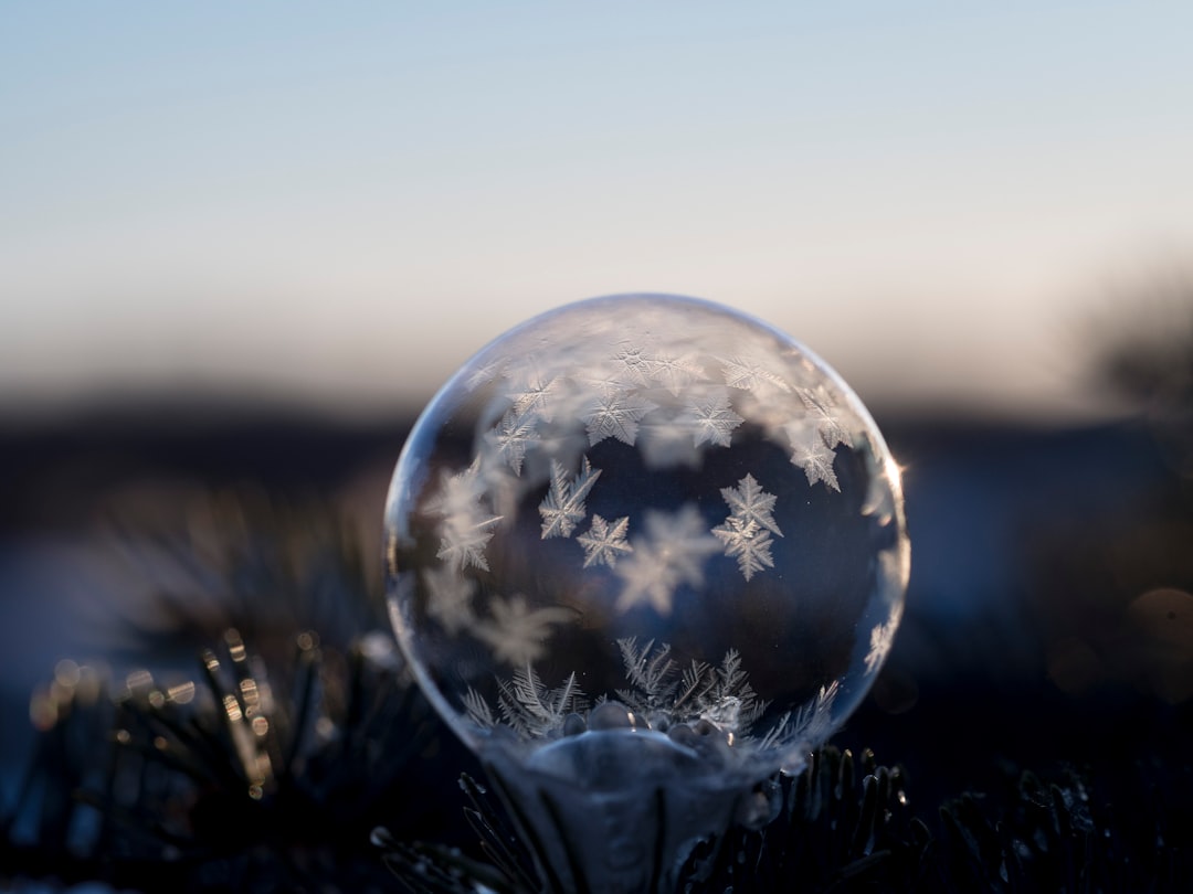 closeup photography of frozen bubble