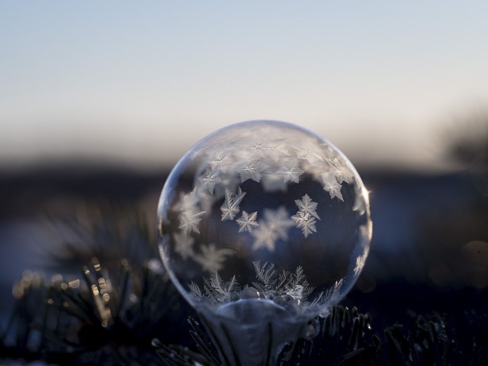 closeup photography of frozen bubble