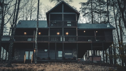 landscape photography of cabin