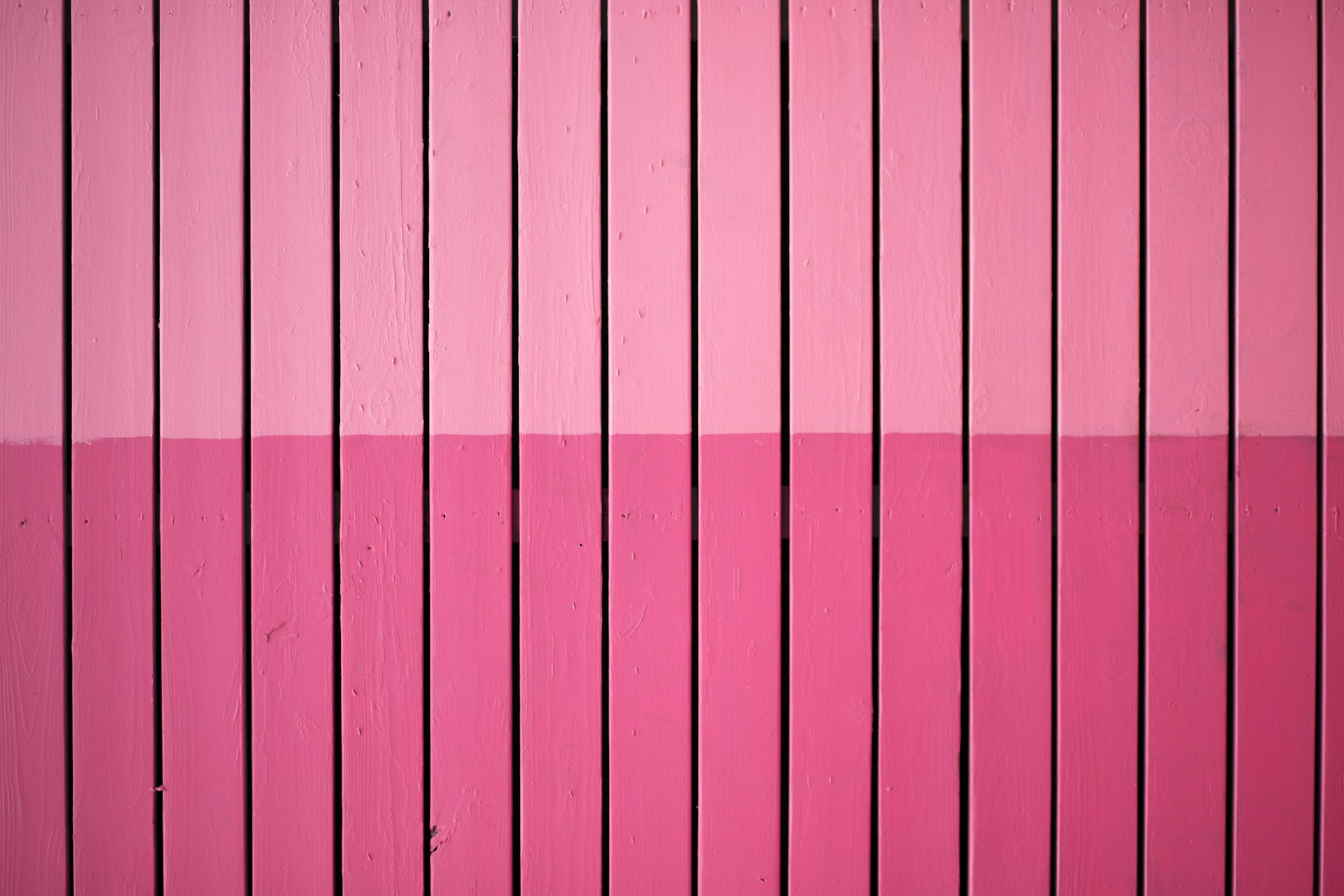 closeup photo of pink paint plank wall
