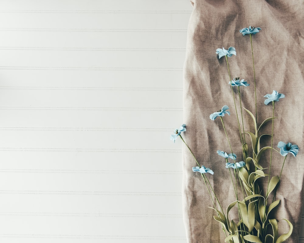 A couple of boxes sitting on top of an open book photo – Free Flatlay Image  on Unsplash