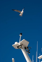 A seagull is flying gracefully in the sky. Below, there is a part of a ship's mast equipped with various technical instruments and antennas. The background is a clear, deep blue sky.