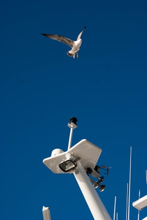 A seagull is flying gracefully in the sky. Below, there is a part of a ship's mast equipped with various technical instruments and antennas. The background is a clear, deep blue sky.