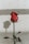 shallow focus photography of red rose