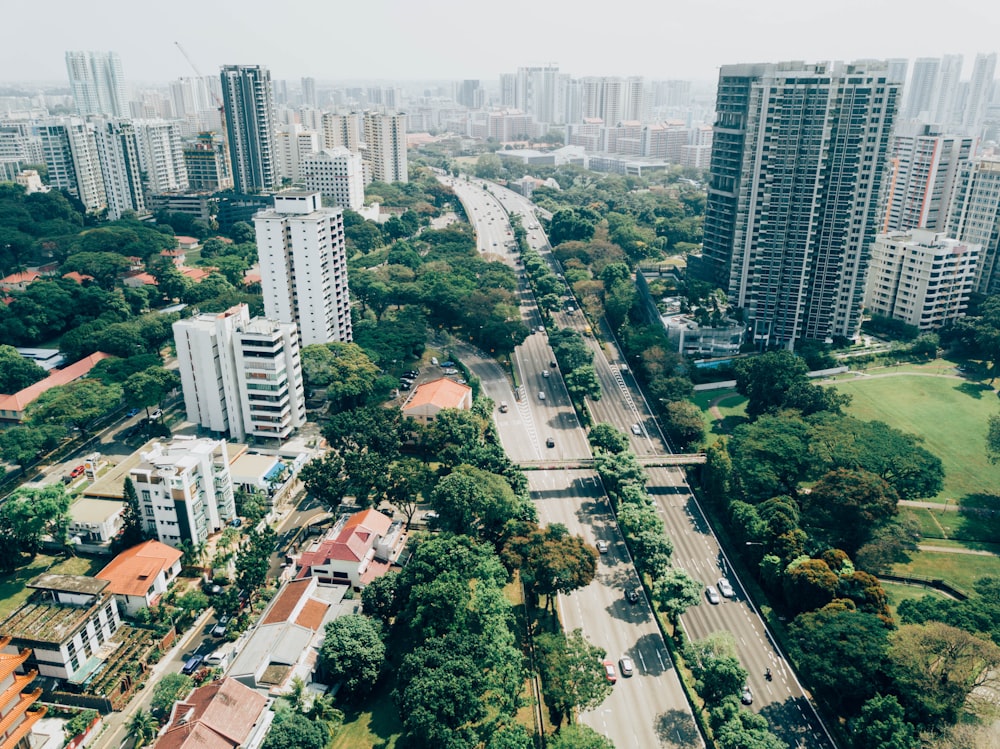 aerial photography of cars on street near buildings and trees during daytime