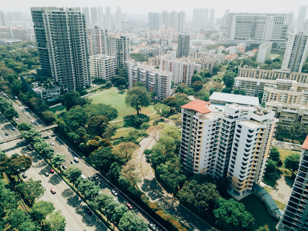 bird's eye view photography of buildings