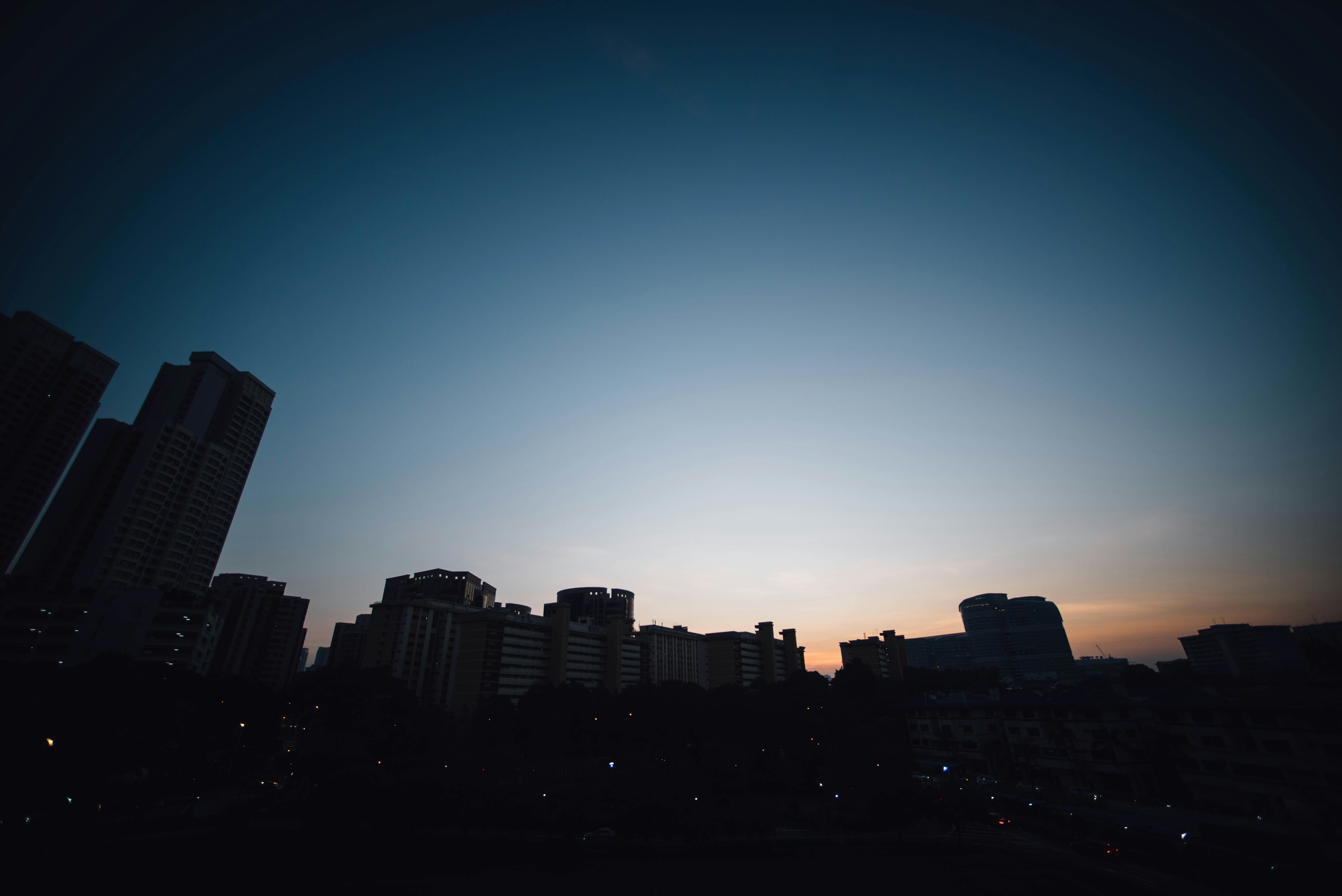 Photo by chuttersnap