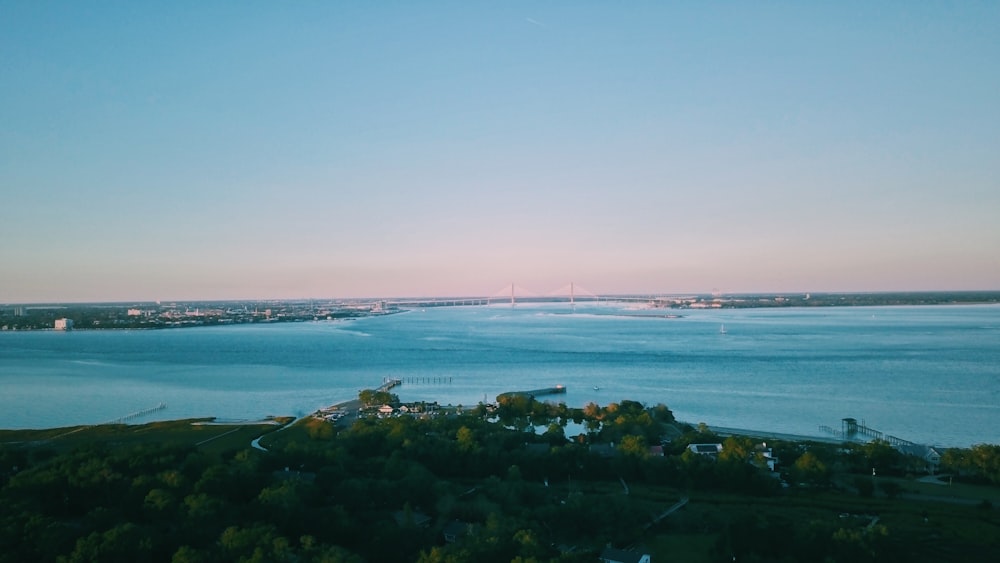 bird's-eye view photography of trees near body of water