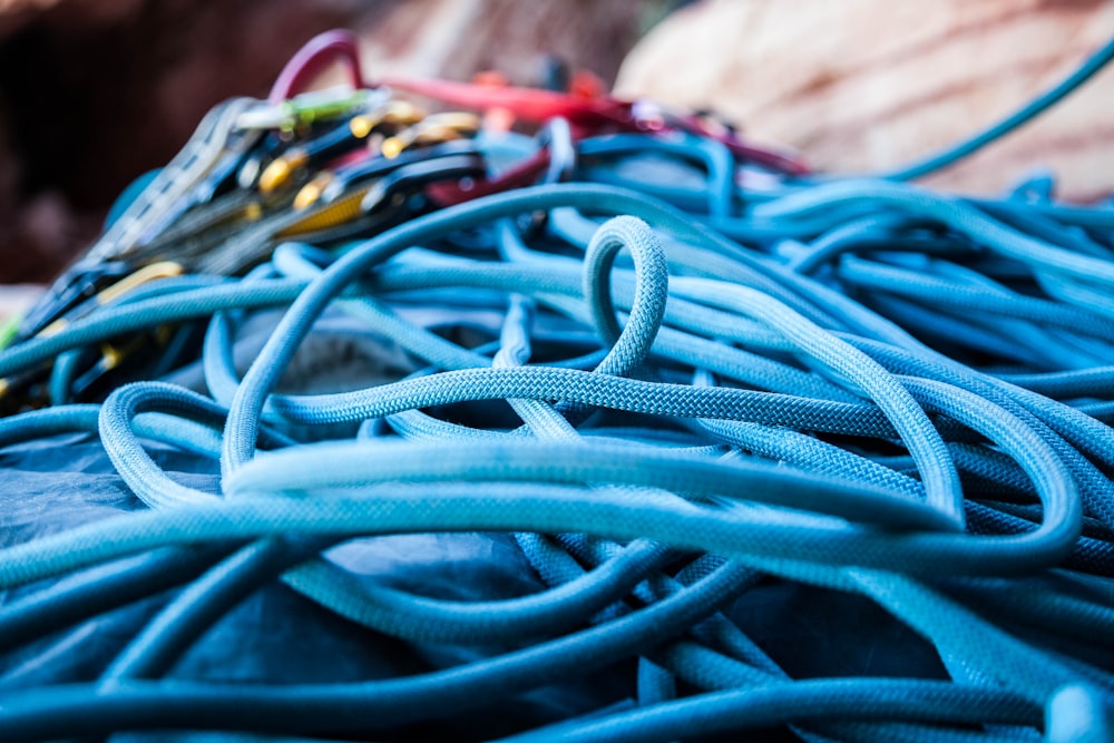 closeup photo of blue strings