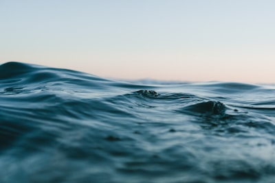 Ocean's Calling