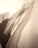 Multiple elongated shadows of a person in a dynamic stretching pose appear on a plain background. The shadows overlap and create a layered effect, suggesting movement and depth.