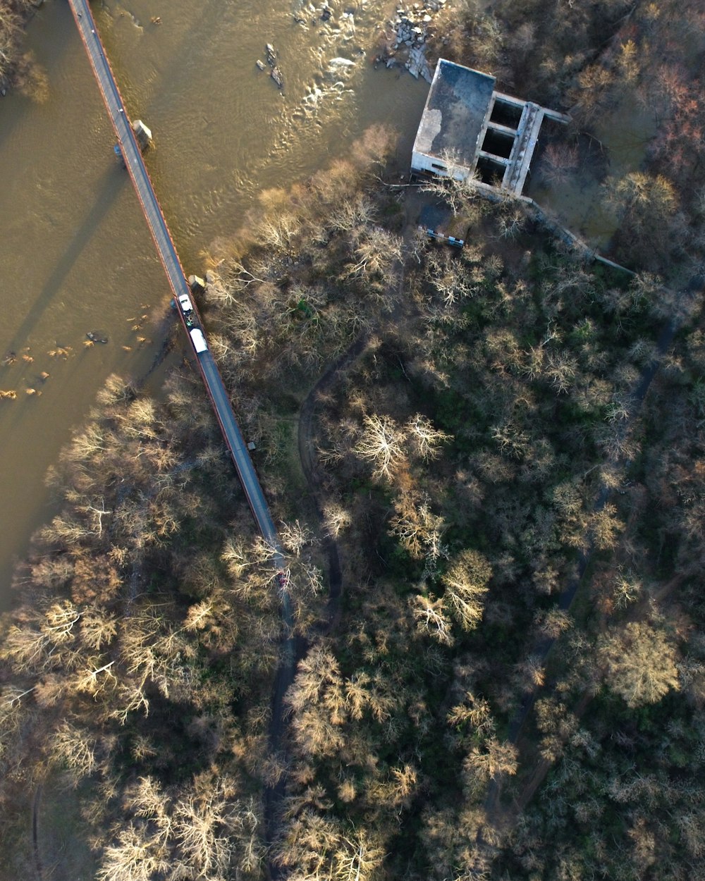 aerial photography of white concrete house surrounded by trees