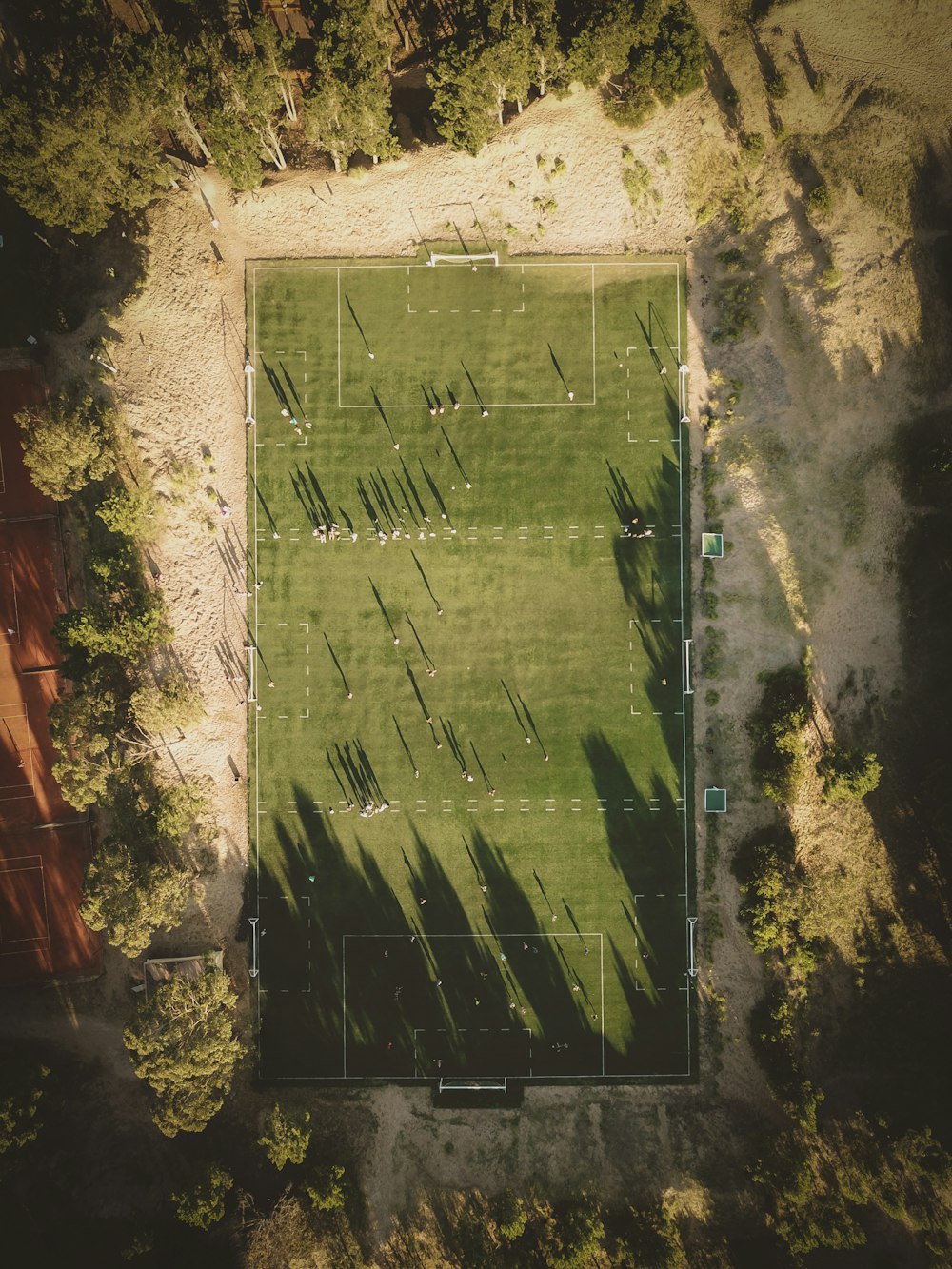 green field surrounded by trees