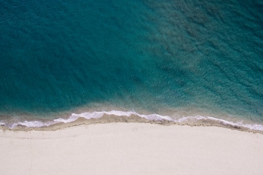 seashore and body of water in Leucate Plage France