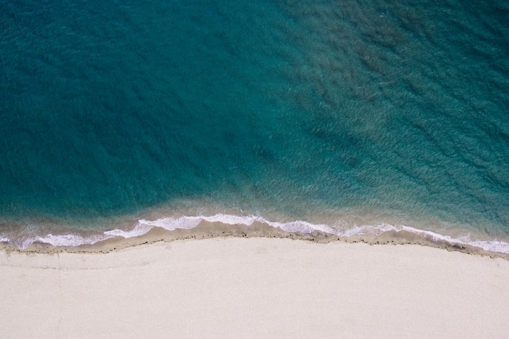 seashore and body of water