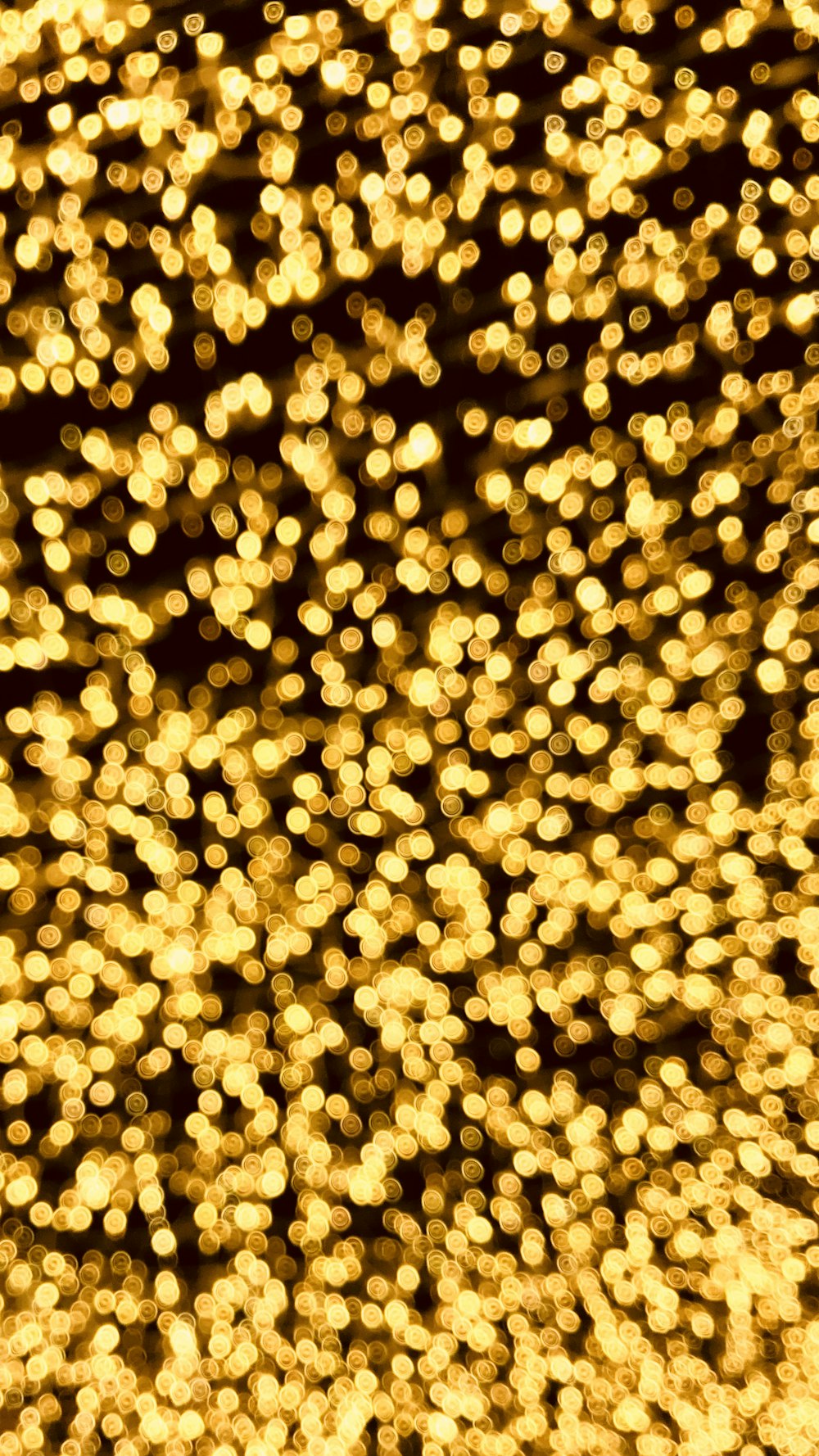 yellow string lights