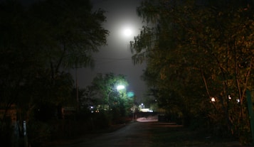A dimly lit street at night featuring a moon shining through a cloudy sky. Trees line both sides of the road, and a single streetlight casts a faint green glow. The atmosphere feels quiet and mysterious, with a few indistinct buildings in the background.
