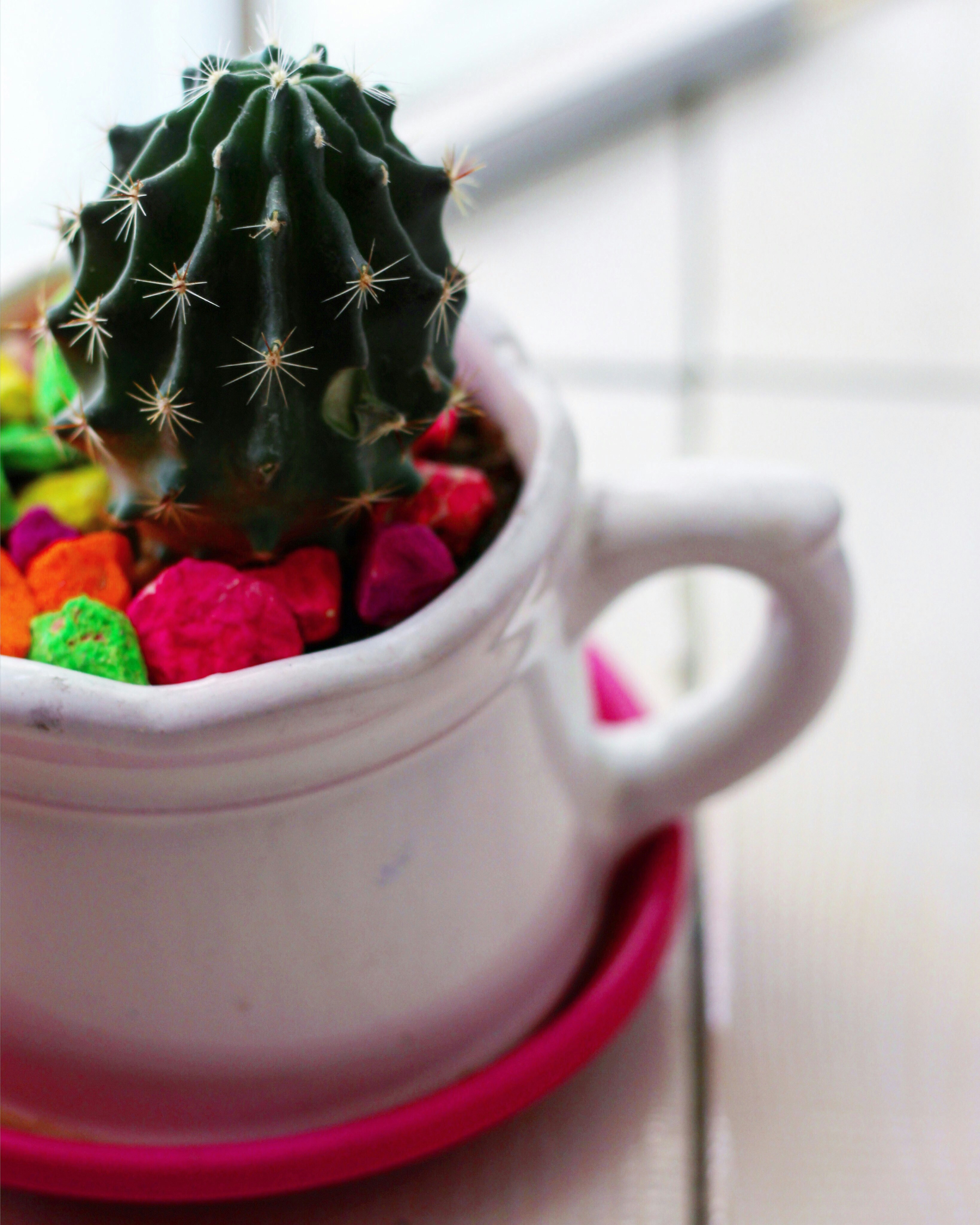 江海美食测评官网下载手机版—探索味蕾的盛宴之旅,江海美食测评官网下载手机版安装