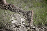 A dynamic image captures a single leg, wearing a muddy shoe, sprinting through a splash of muddy water. Droplets are frozen mid-air, indicating motion and energy. The backdrop of blurred green suggests grass or a field environment.