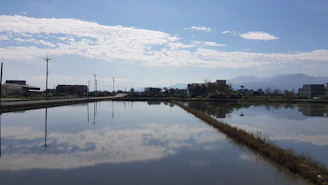 A serene rice paddy field reflecting the clear blue sky in the heart of Udeli.