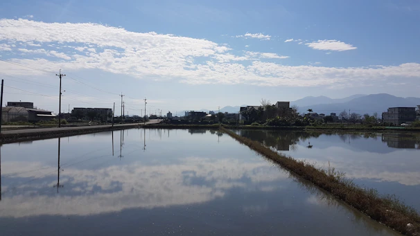 A serene rice paddy field reflecting the clear blue sky in the heart of Udeli.