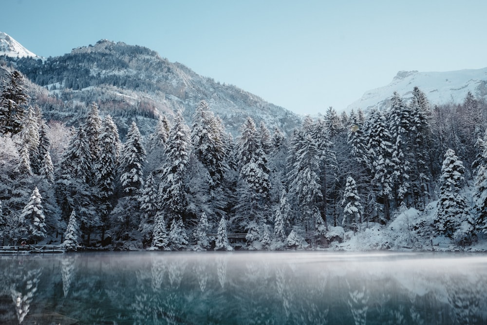 Fotografía de paisaje de montaña nevada y cuerpo de agua