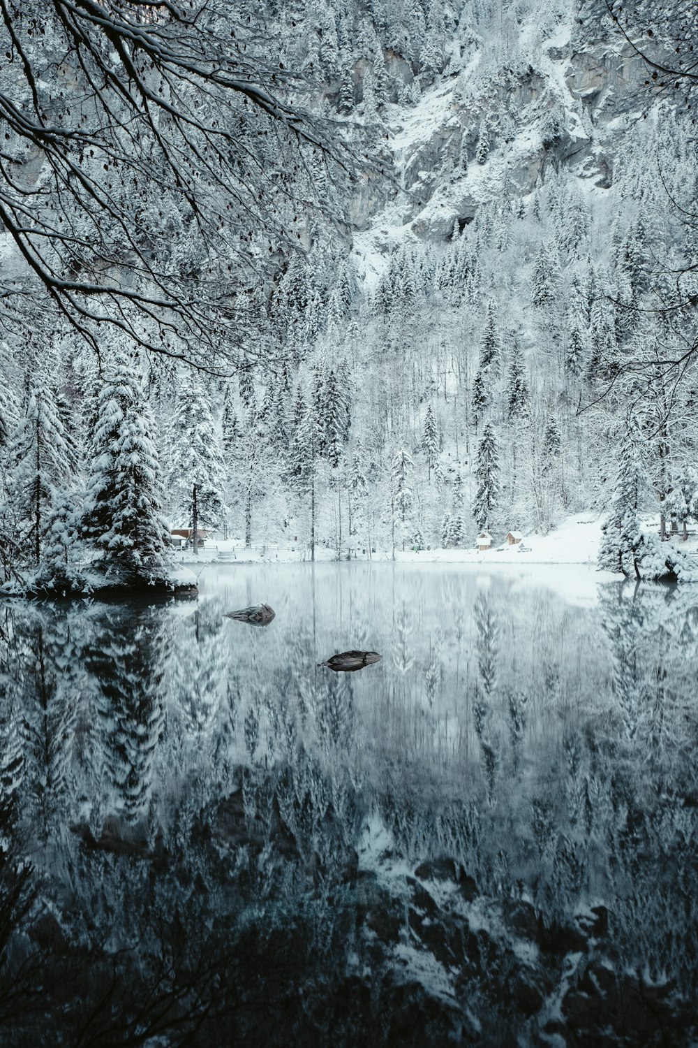 Schneebedeckter Fluss und Bäume