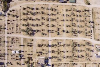 Aerial view of a landscape with a grid-like arrangement. It features rows of trees or crops, possibly an orchard or plantation, with dirt paths and roads crossing at intervals. There's a mix of greenery and barren land, with some shadows cast by trees and structures. A couple of buildings and structures are visible, likely storage or residential areas.