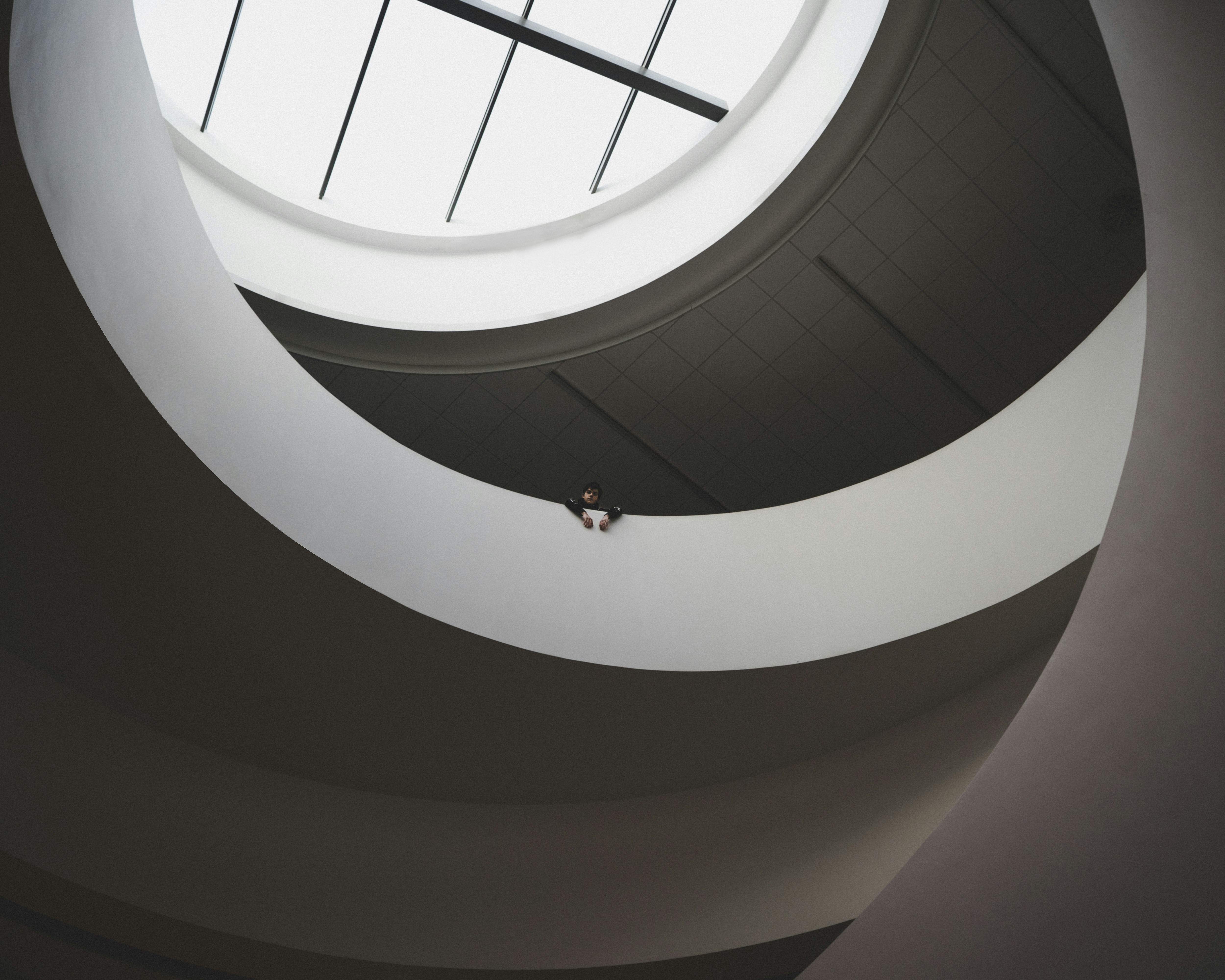 Liverpool Museum has always been a great place to go, casually or even just to take a look inside. It has a huge curved staircase that looks huge compared to a normal human. I like this photo so much as it emphasises how much we can accomplish and the sheer size of how far we have come in architecture.