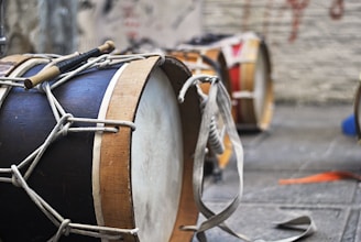 closeup photo of black drum