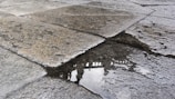 Wet cobblestone pavement with a puddle reflecting part of a building or structure, showing intricate, weathered textures on the stones.