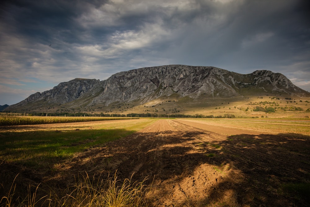 gray mountain range during daytime