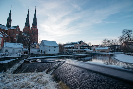 river bank by white and brown buildings during daytime in Uppsala Sweden