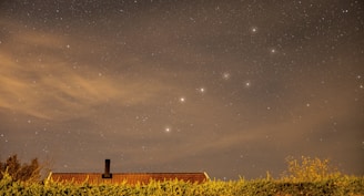landscape photography of grass and stars