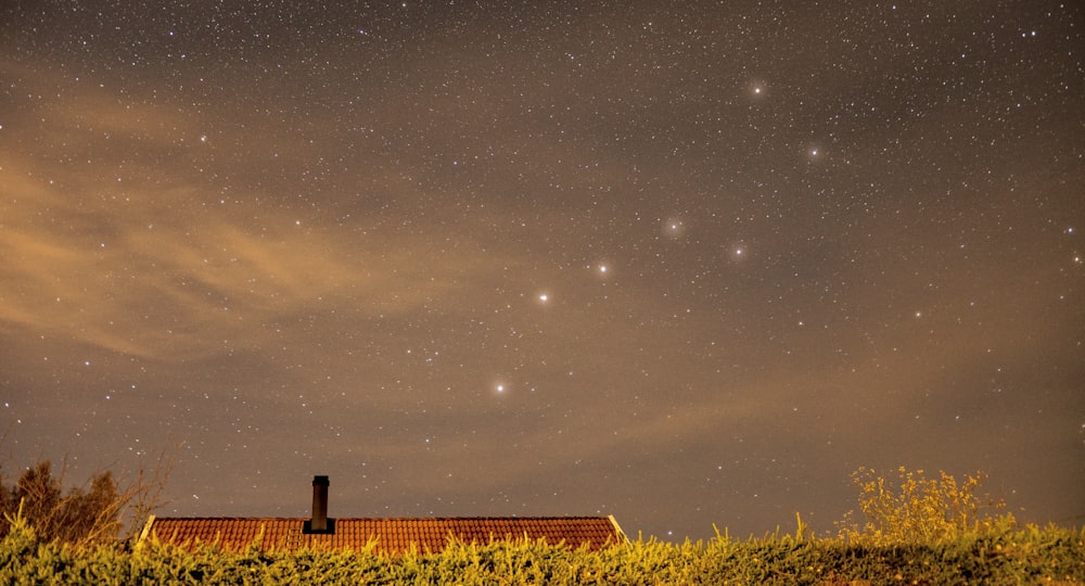 Fotografía de paisaje de hierba y estrellas