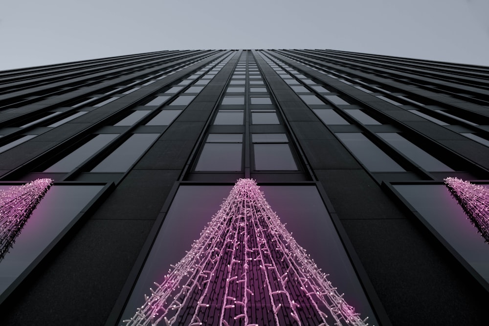 closeup photo of purple string lights