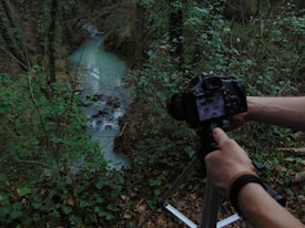 A person is holding a camera mounted on a tripod, aiming it towards a flowing creek surrounded by dense foliage. The creek is lined with rocks and the surrounding area is verdant, with many trees and leafy plants. The scene suggests a natural, forest environment with the focus on capturing the beauty of the water and forest through photography.