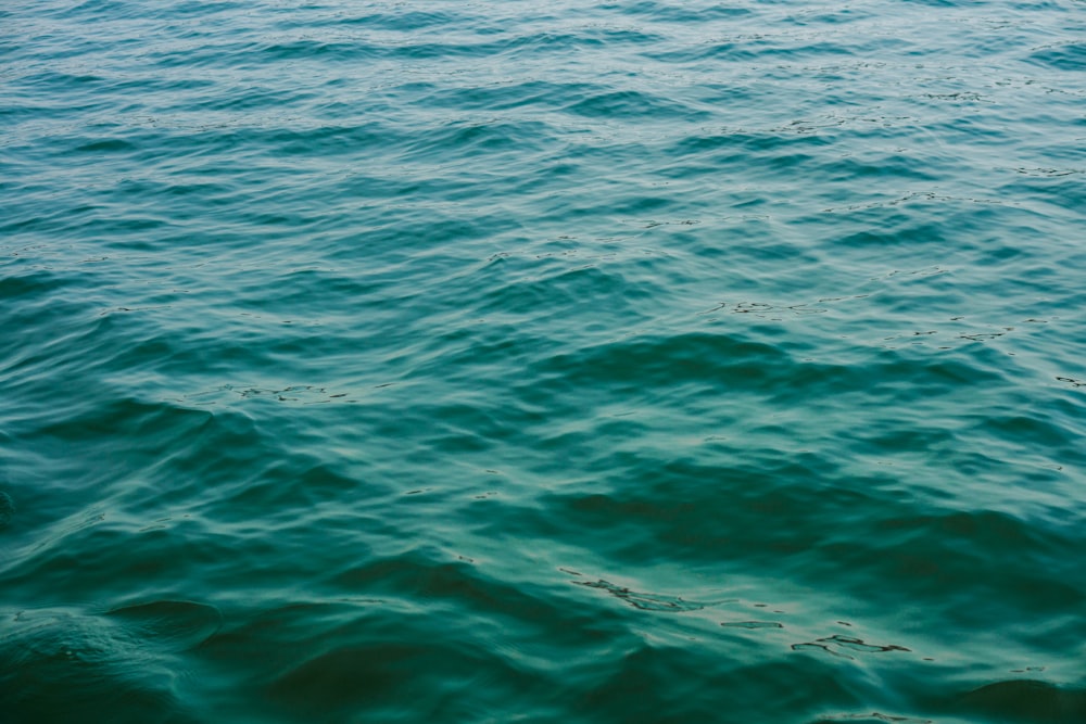 vista dall'alto fotografia dello specchio d'acqua