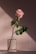 pink flower
