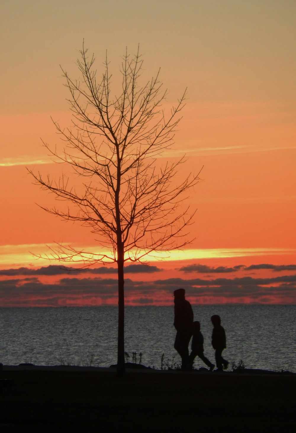 silhouette di persone