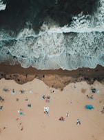 bird's eye view photography of people near seashore