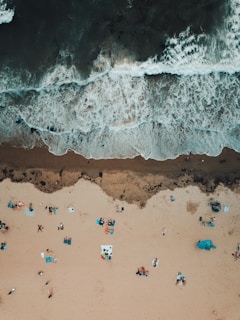 bird's eye view photography of people near seashore