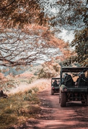 two off-road vehicles driving on dirt path
