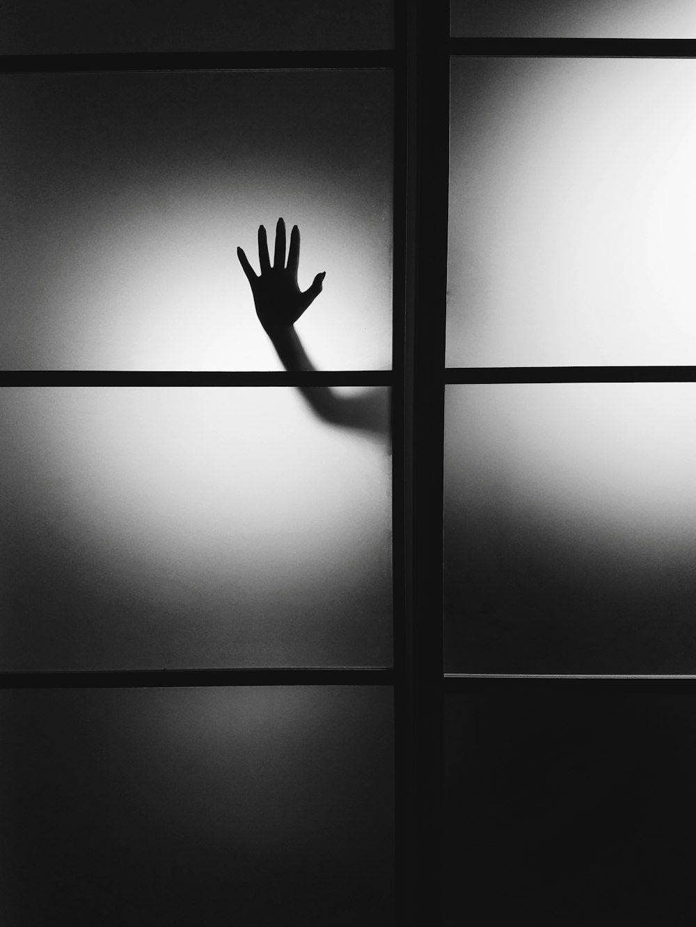 photo of person's hand on wall