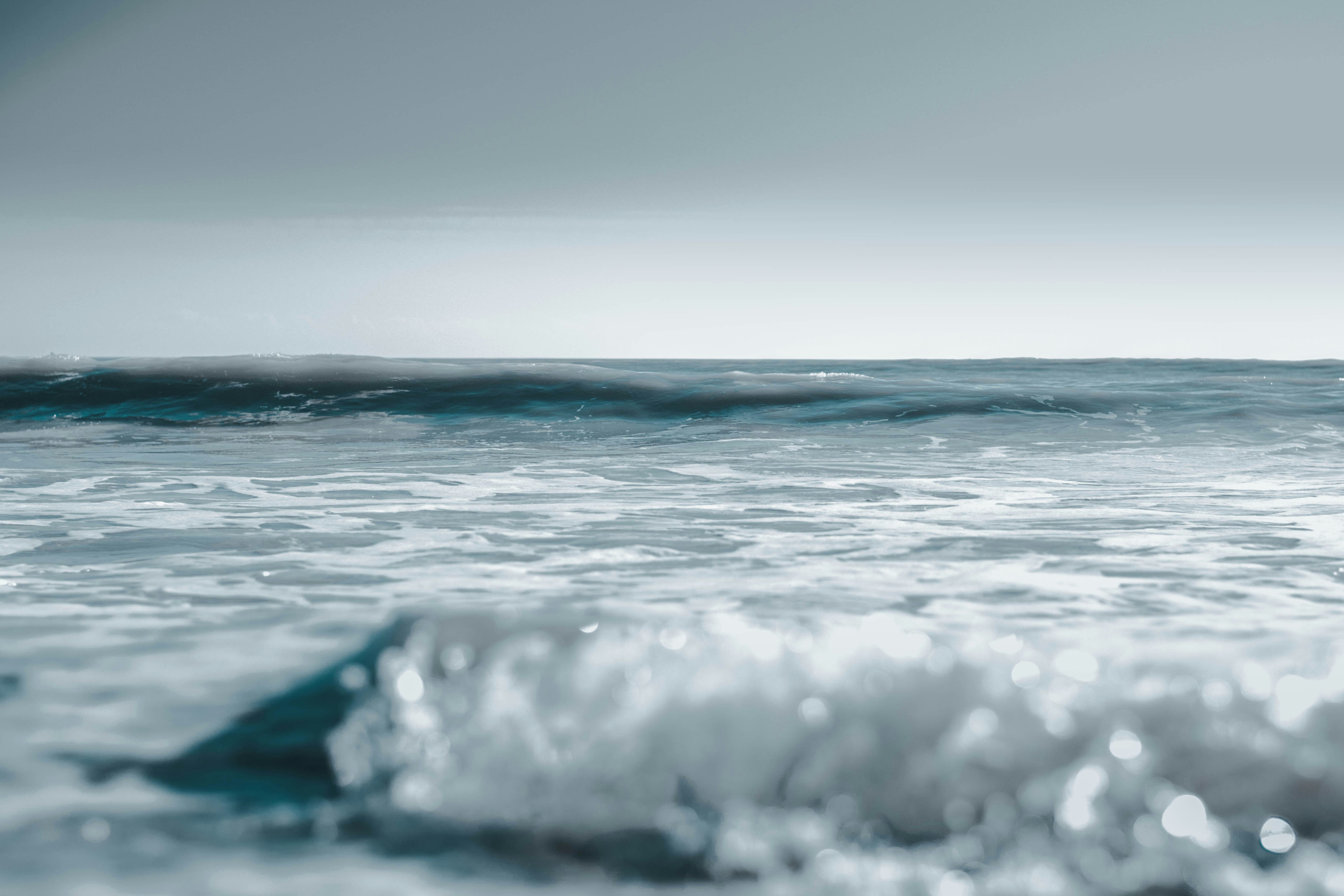 Photo by samrudkinmillichamp